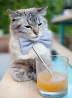 小贾伦撕裂麦迪逊，当沉寂王储于无声处加冕