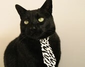 当灰熊对阵新疆队，另类思考一场不可能的对决