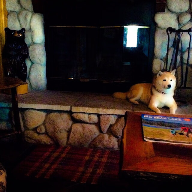 错位攻防，杜兰特如何用一记不存在的助攻，导演雄鹿压哨逆袭