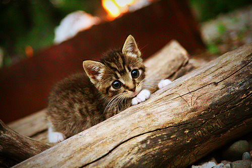 冰与火之歌，苏亚雷斯离题一击，如何让大西洋两岸的足球叙事提前落幕？