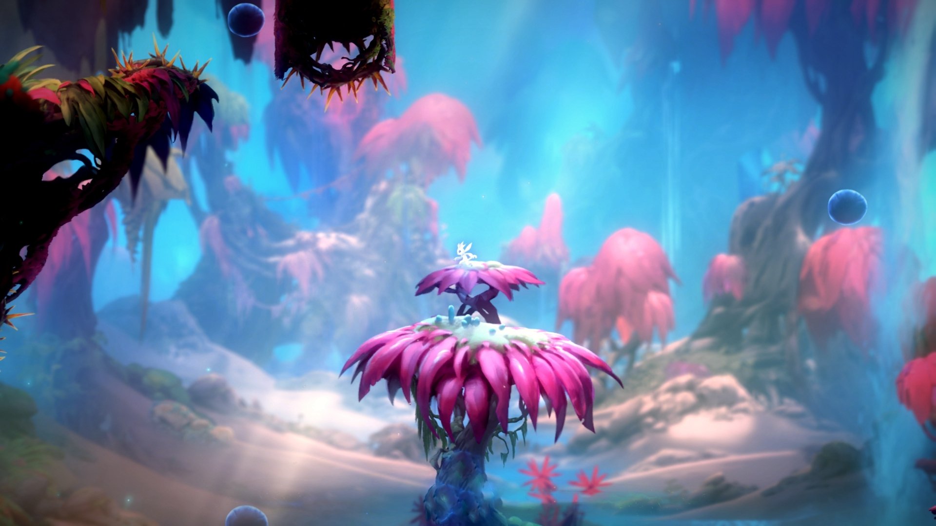 哈利伯顿的无声风暴，当节奏成为比得分更致命的武器