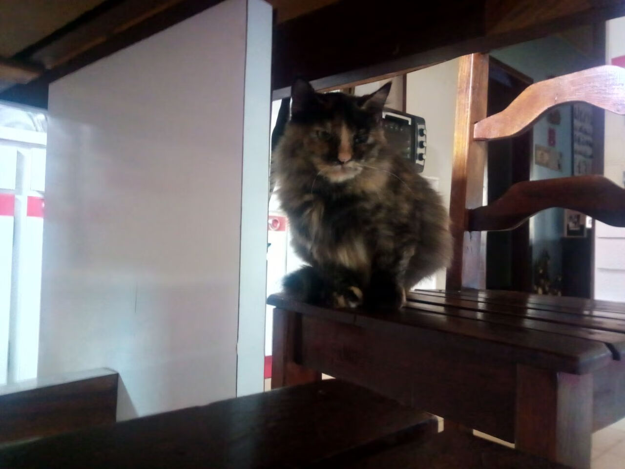 平行宇宙的交叉点，当哈利伯顿的魔法席卷老鹰，深圳队在另一个维度被压制