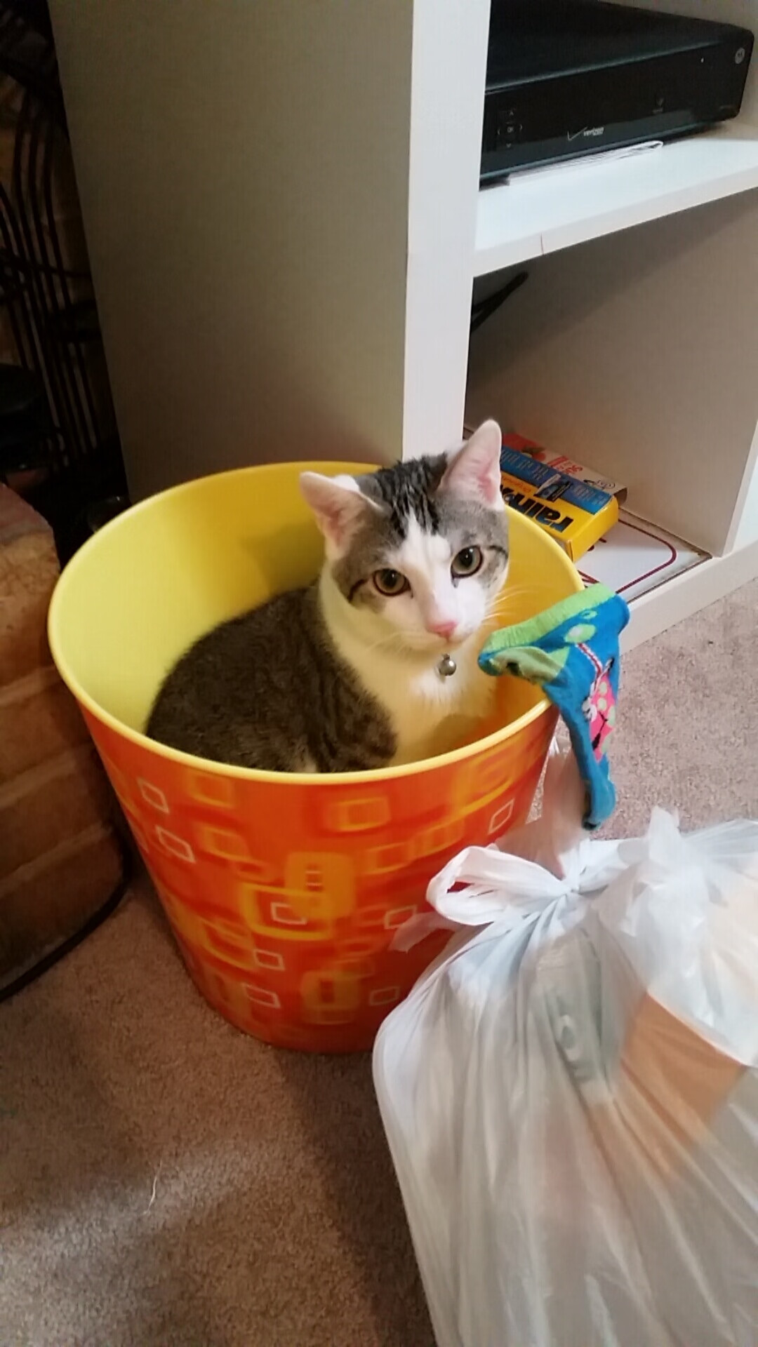 双星隔空对话，伦纳德生涯之夜VS布伦森王者时刻