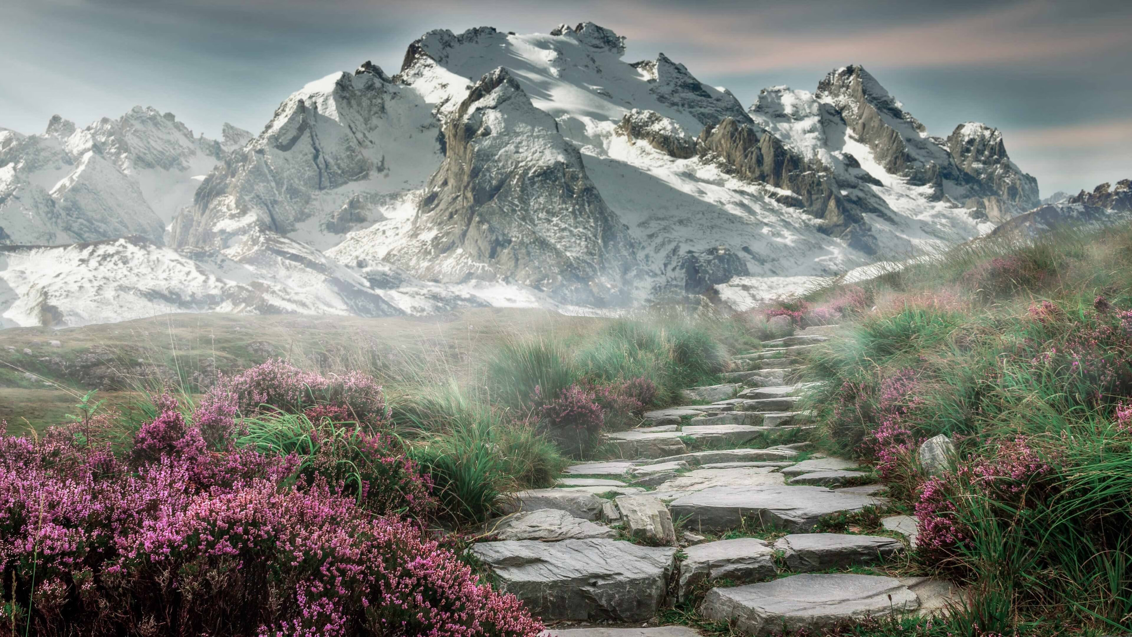 雷火电竞主播-非洲雄鹰的狂想曲，当绿衫军在大西洋彼岸迷失，尼日利亚如何用风暴定义2026世界杯的唯一