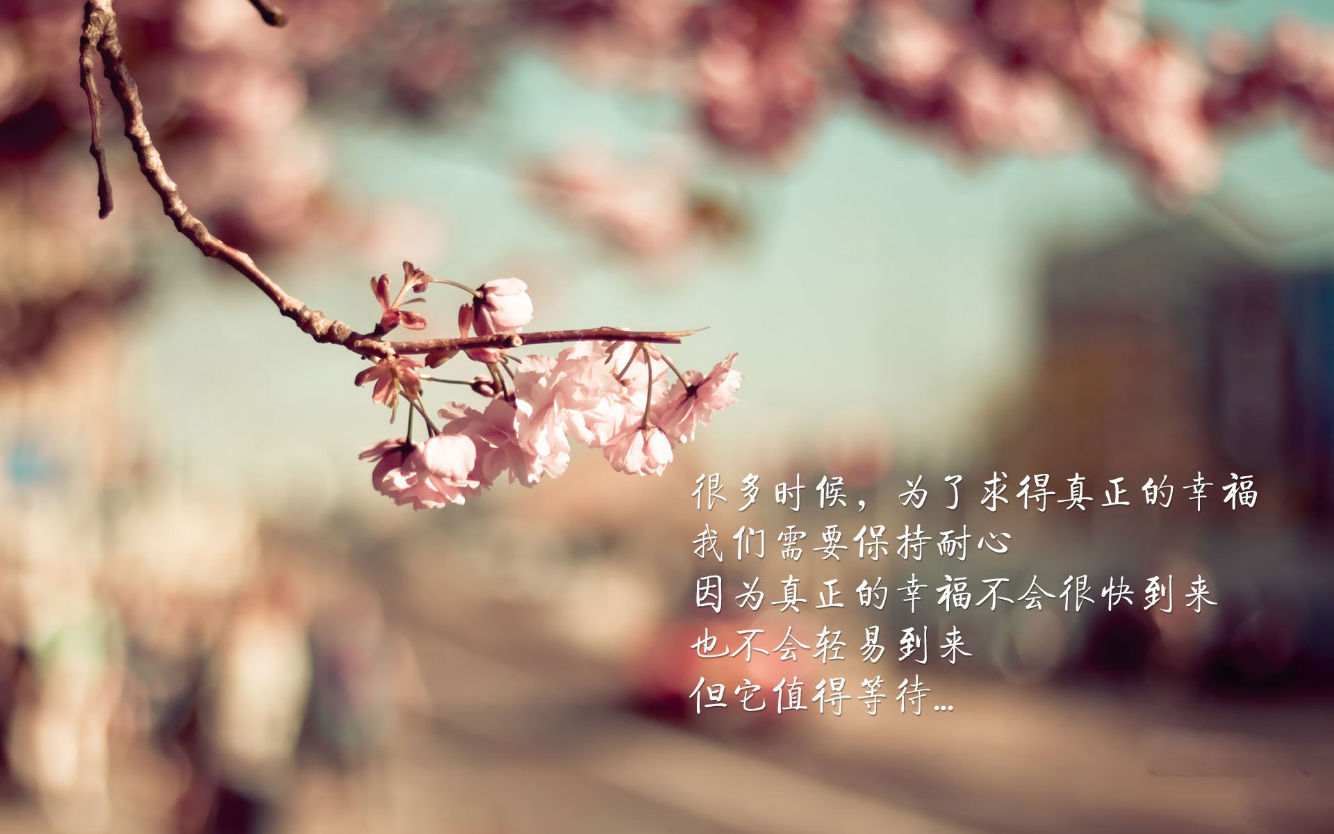 这是一篇为您定制的体育评论文章。为了增强现场感和戏剧性,我采用了战地记者手记的风格,将关键词串联成一个完整的故事