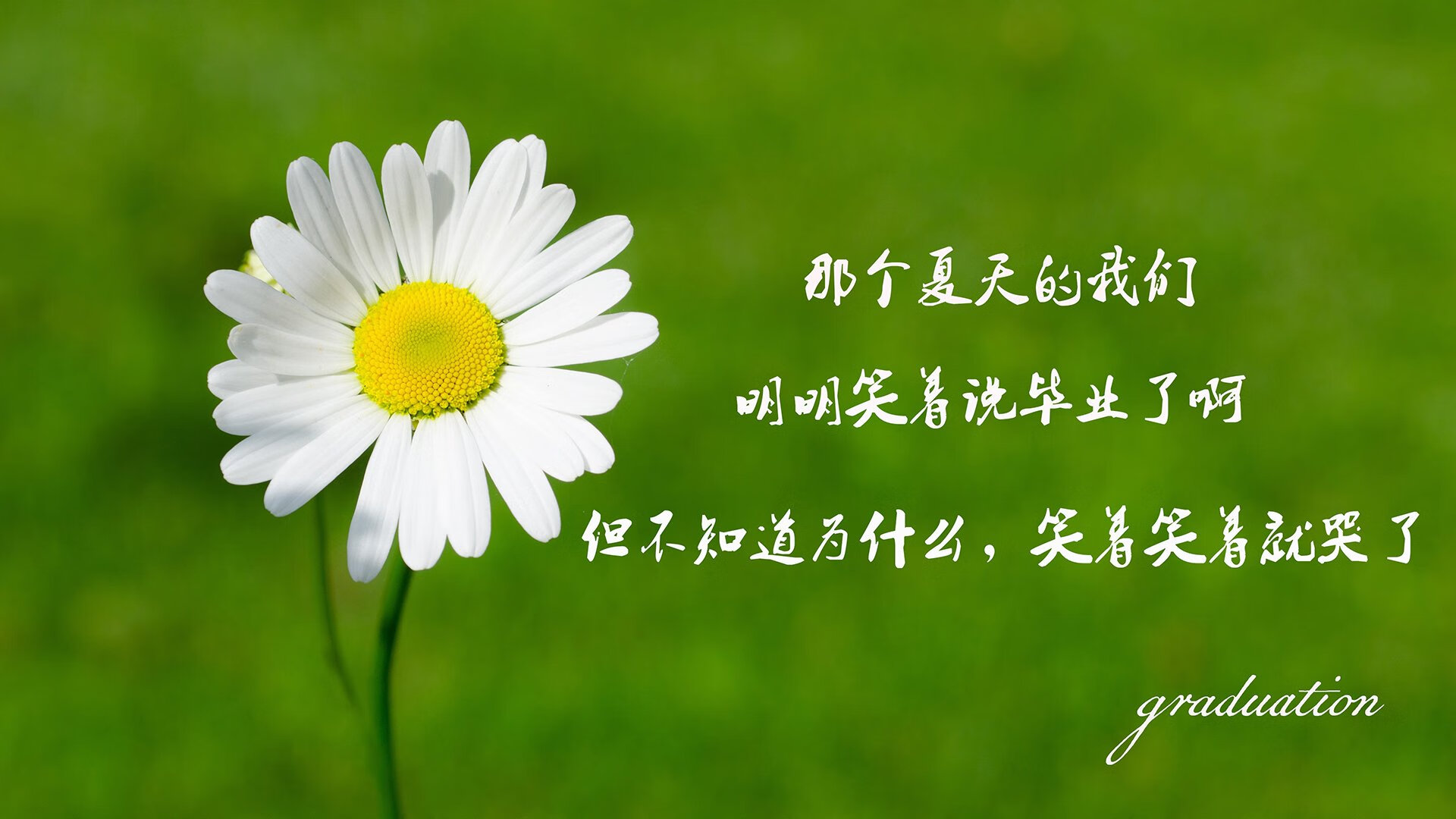 星辰陨落与王者加冕,2026世界杯F组焦点战,乌拉圭完胜智利,莱万多夫斯基的孤星之夜