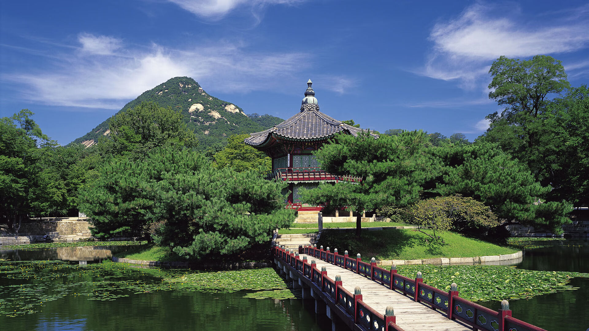 唯一的剧本,当潘帕斯雄鹰与三狮军团,在同一个夜晚书写两种完胜