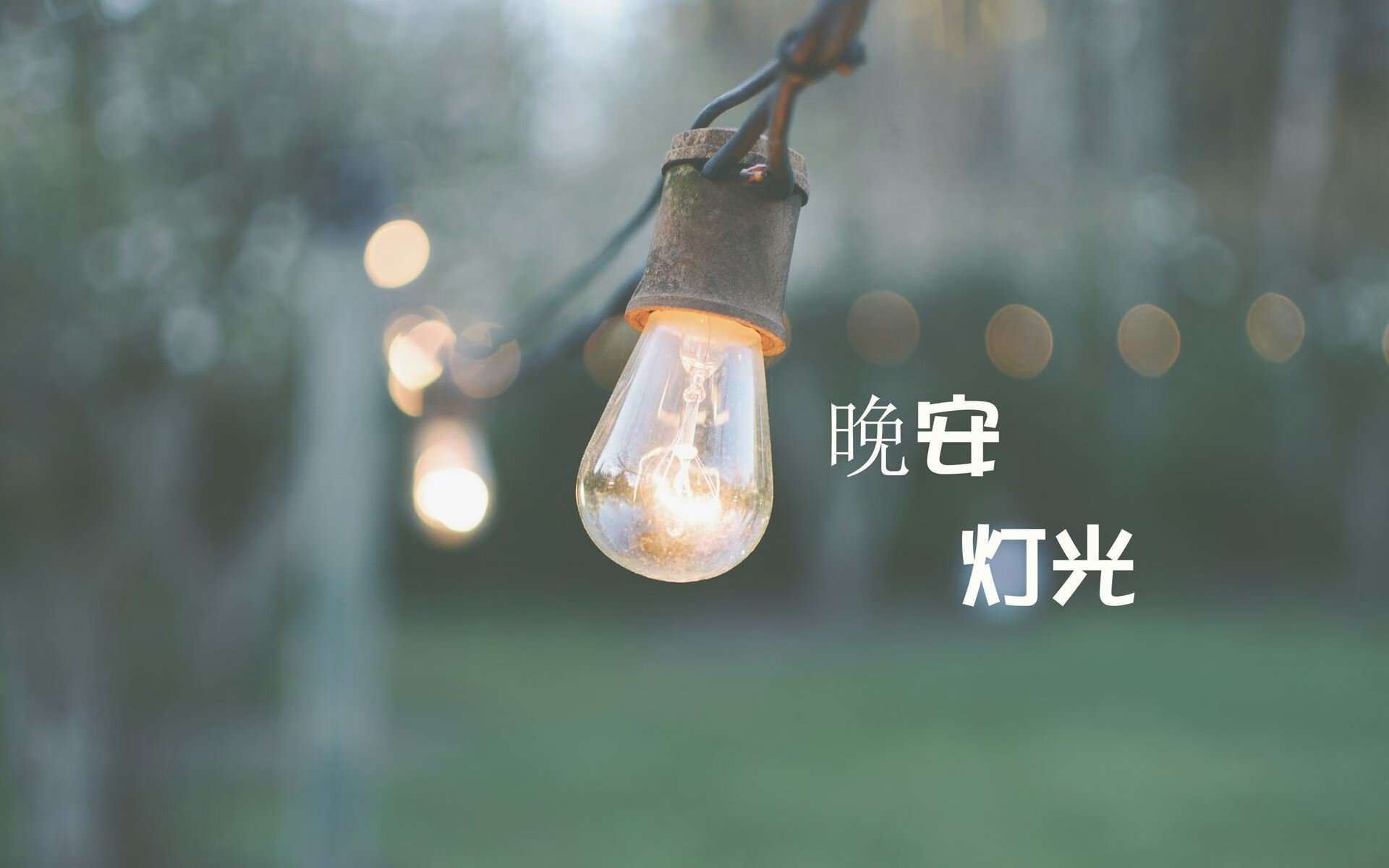 2026世界杯决赛,橙衣奇迹与独行侠的绝唱—奥地利钢铁洪流碾碎冰岛,苏亚雷斯用泪光定义永恒